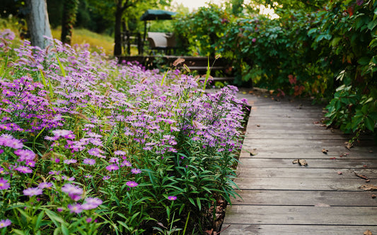 Mit der Holzterrasse den Garten wohnlicher machen